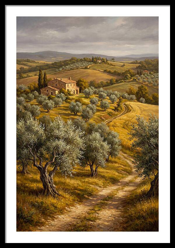 Tranquil Olive Grove 6104