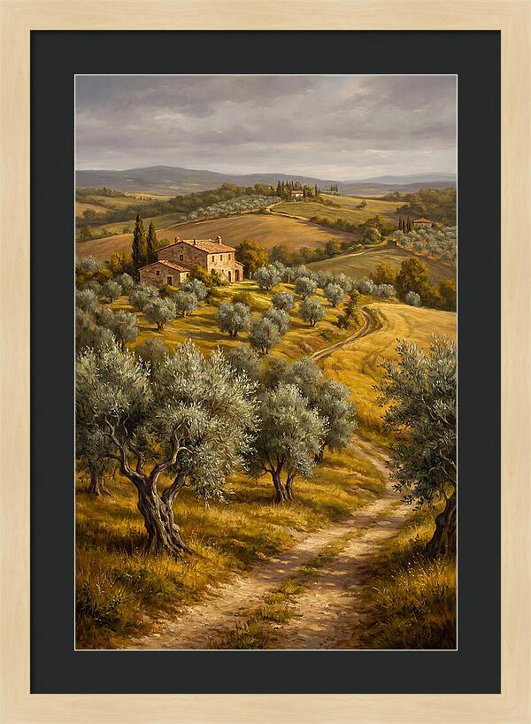 Tranquil Olive Grove 6104