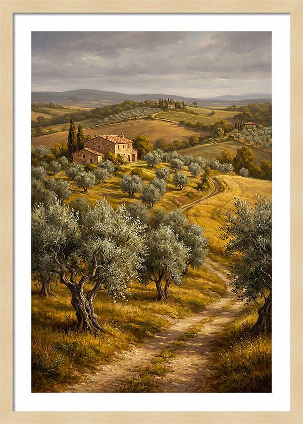 Tranquil Olive Grove 6104