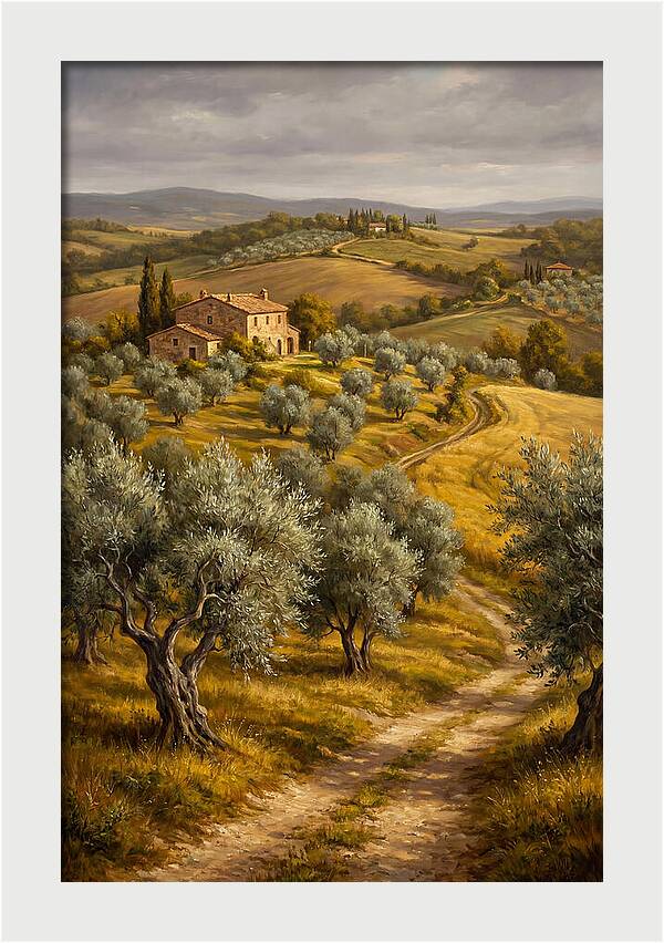 Tranquil Olive Grove 6104