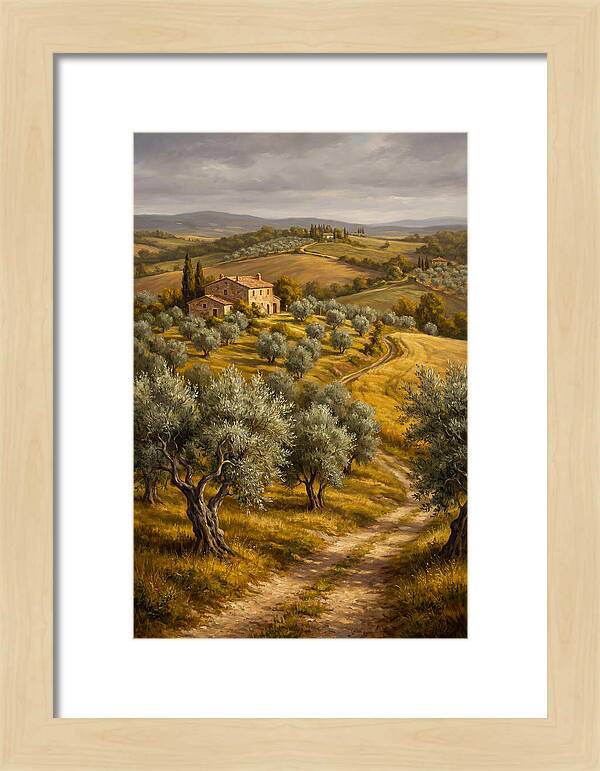 Tranquil Olive Grove 6104
