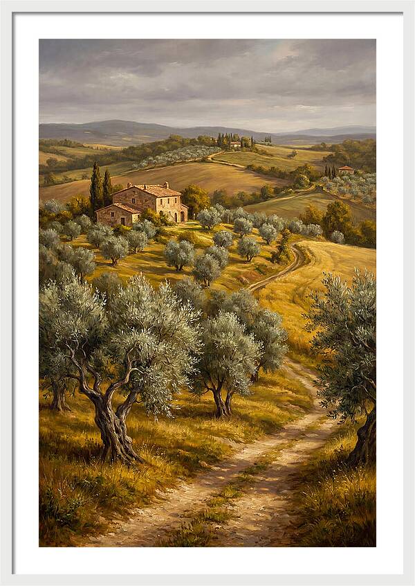Tranquil Olive Grove 6104