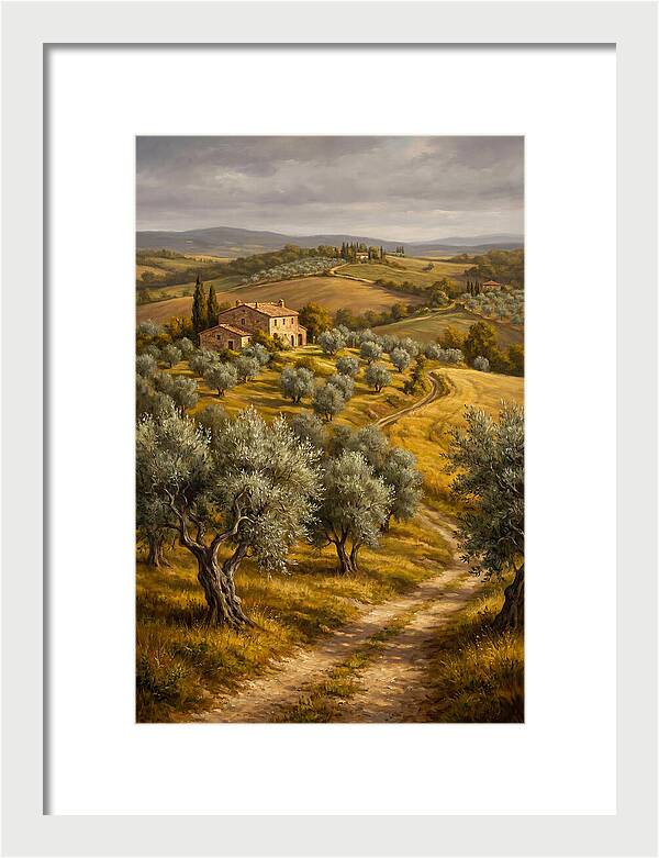 Tranquil Olive Grove 6104