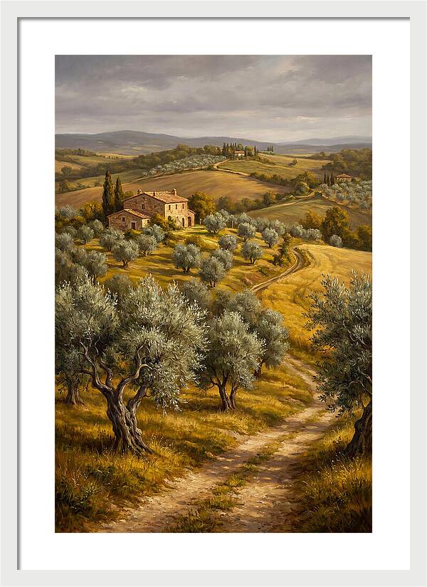 Tranquil Olive Grove 6104