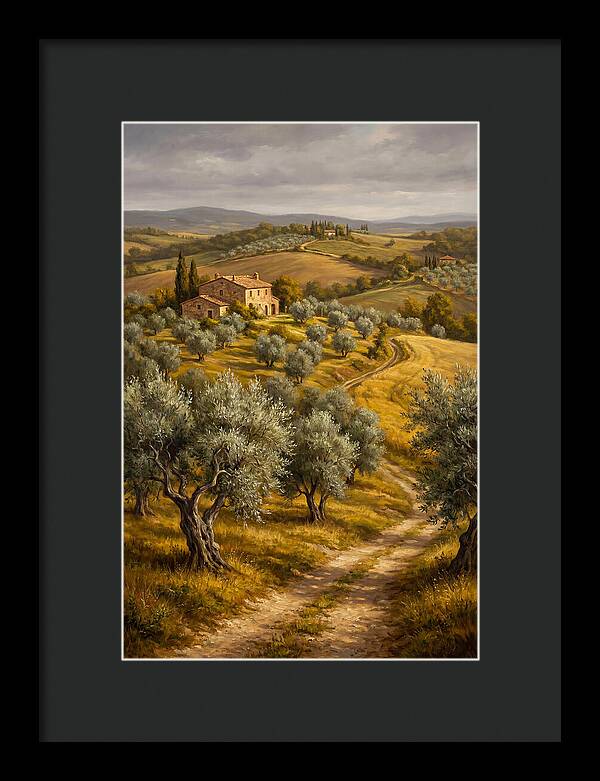 Tranquil Olive Grove 6104