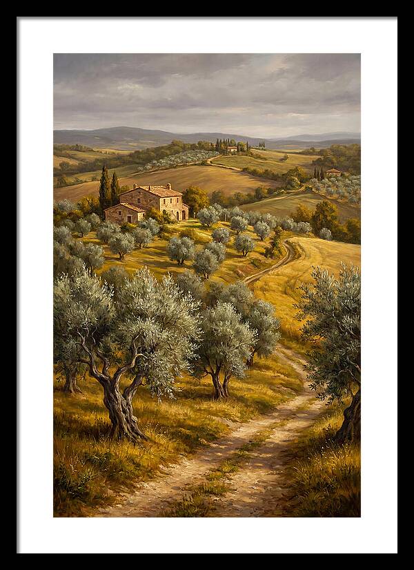Tranquil Olive Grove 6104