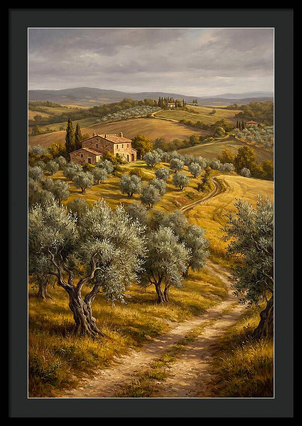 Tranquil Olive Grove 6104
