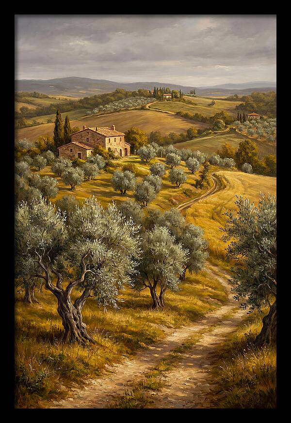 Tranquil Olive Grove 6104