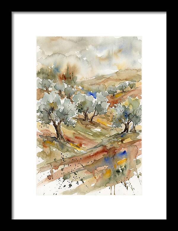 Tranquil Olive Grove 6114