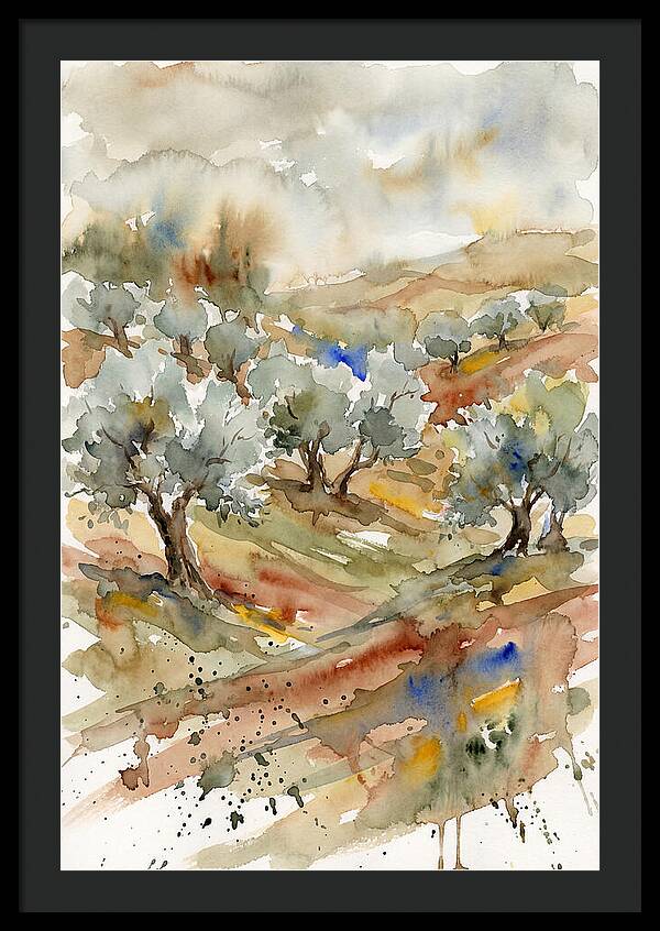 Tranquil Olive Grove 6114