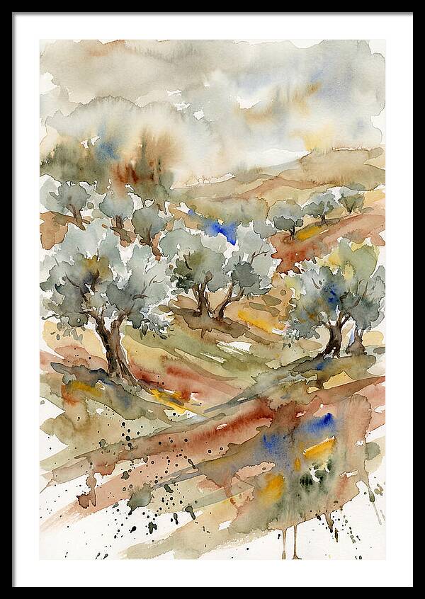 Tranquil Olive Grove 6114