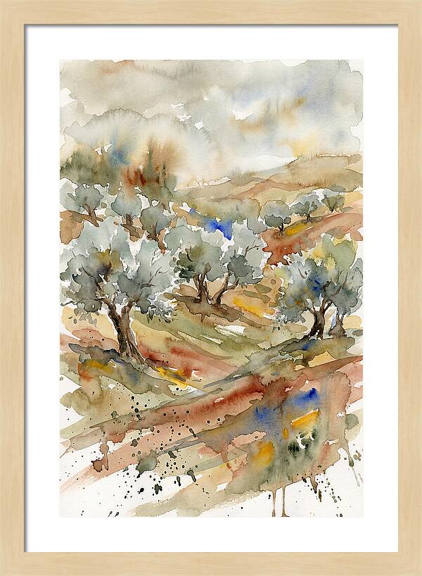 Tranquil Olive Grove 6114