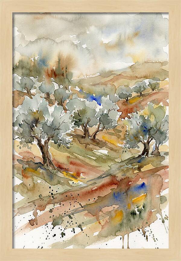 Tranquil Olive Grove 6114