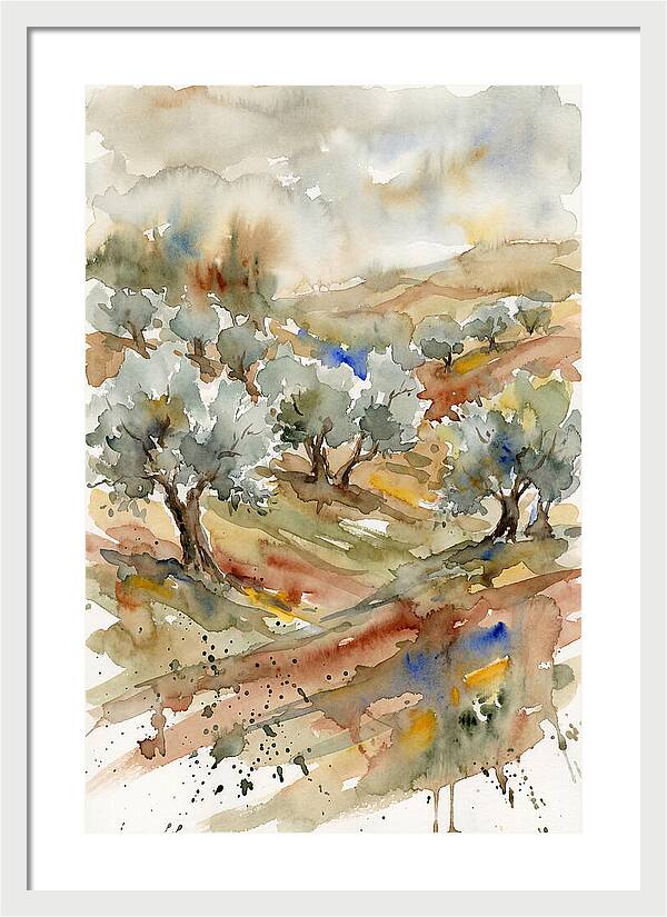 Tranquil Olive Grove 6114