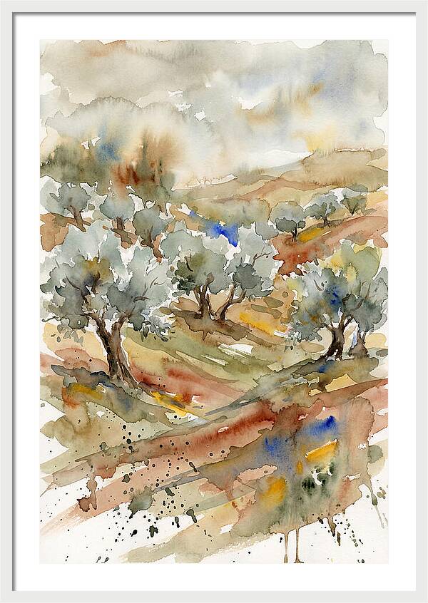 Tranquil Olive Grove 6114