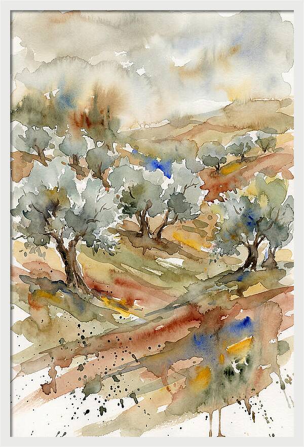 Tranquil Olive Grove 6114