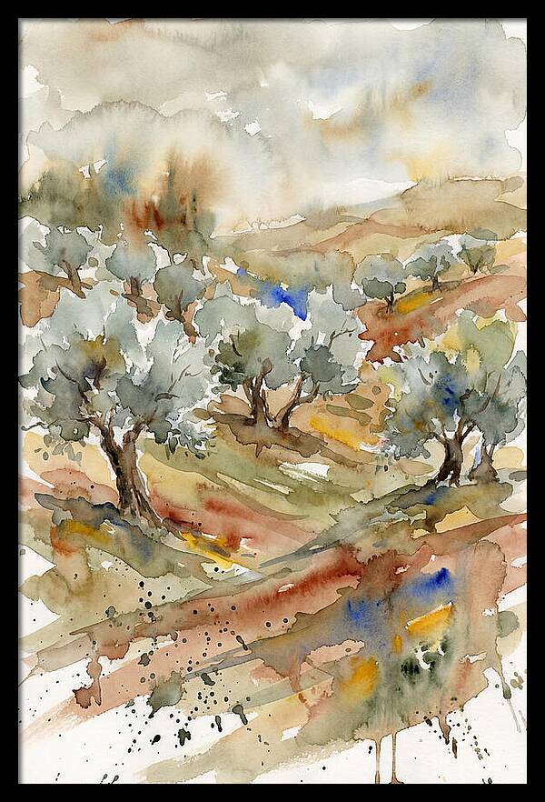 Tranquil Olive Grove 6114