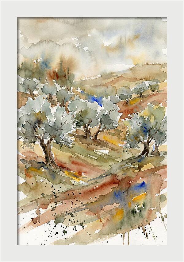 Tranquil Olive Grove 6114