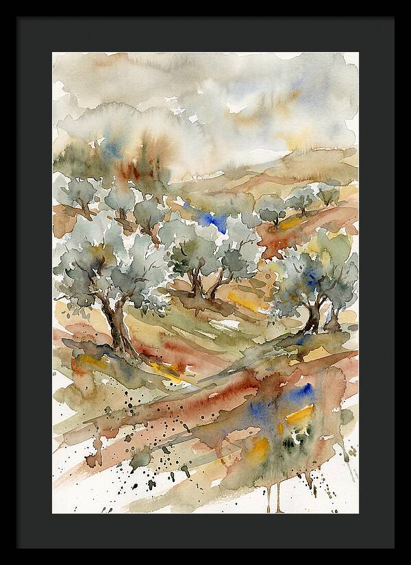 Tranquil Olive Grove 6114