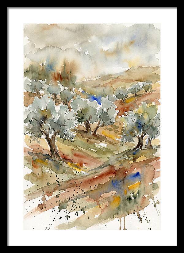 Tranquil Olive Grove 6114
