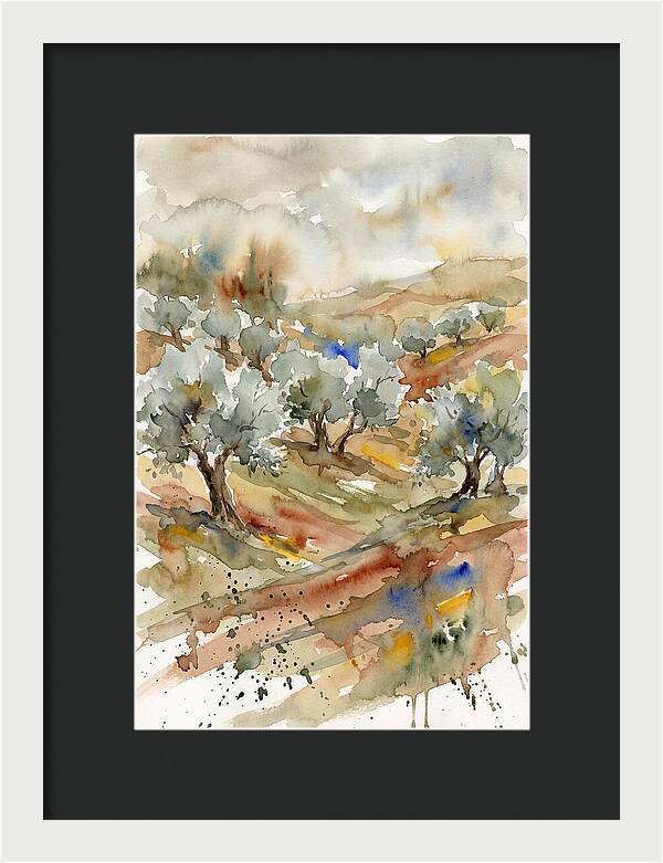 Tranquil Olive Grove 6114