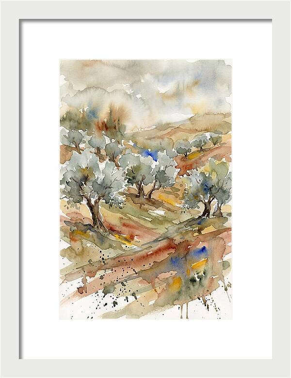 Tranquil Olive Grove 6114
