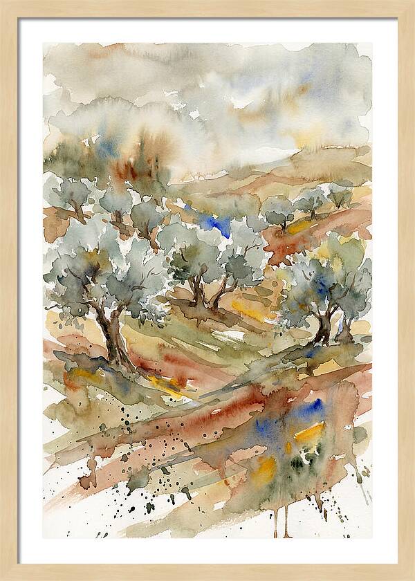 Tranquil Olive Grove 6114
