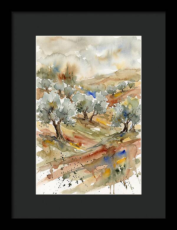 Tranquil Olive Grove 6114