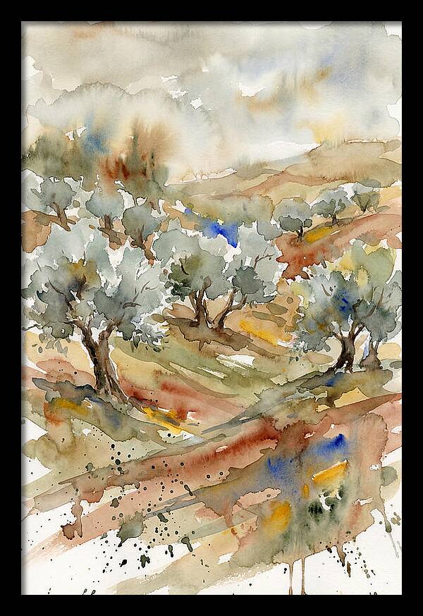 Tranquil Olive Grove 6114
