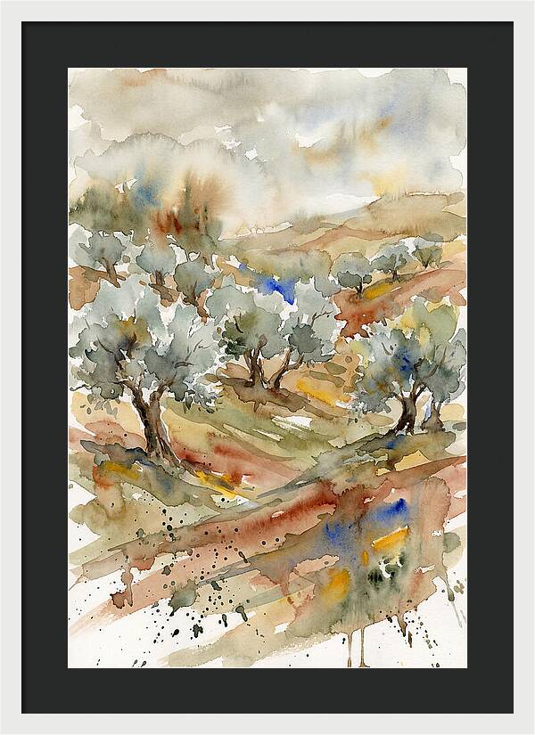 Tranquil Olive Grove 6114