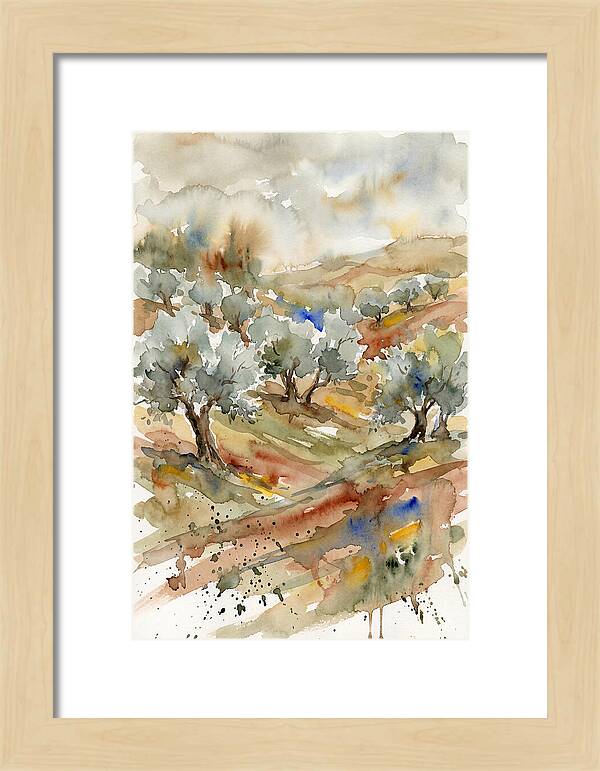 Tranquil Olive Grove 6114