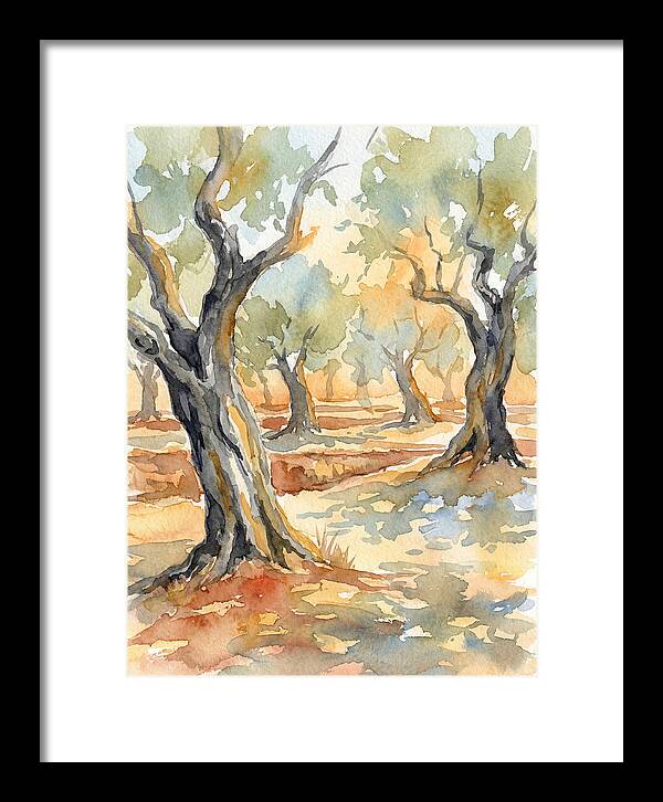 Tranquil Olive Grove