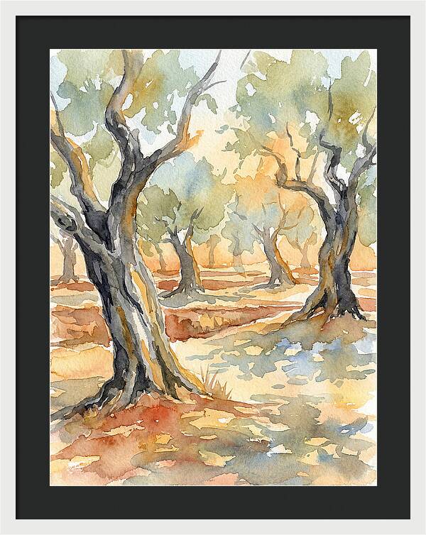 Tranquil Olive Grove