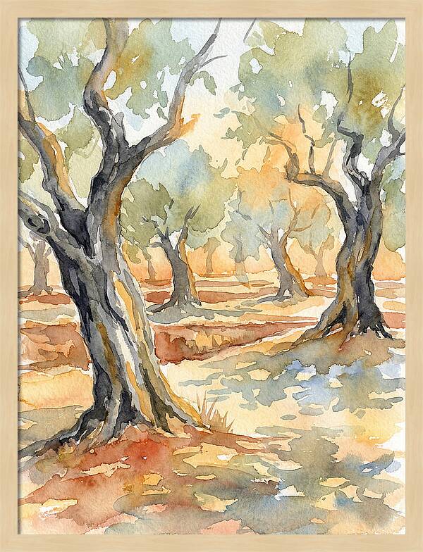 Tranquil Olive Grove