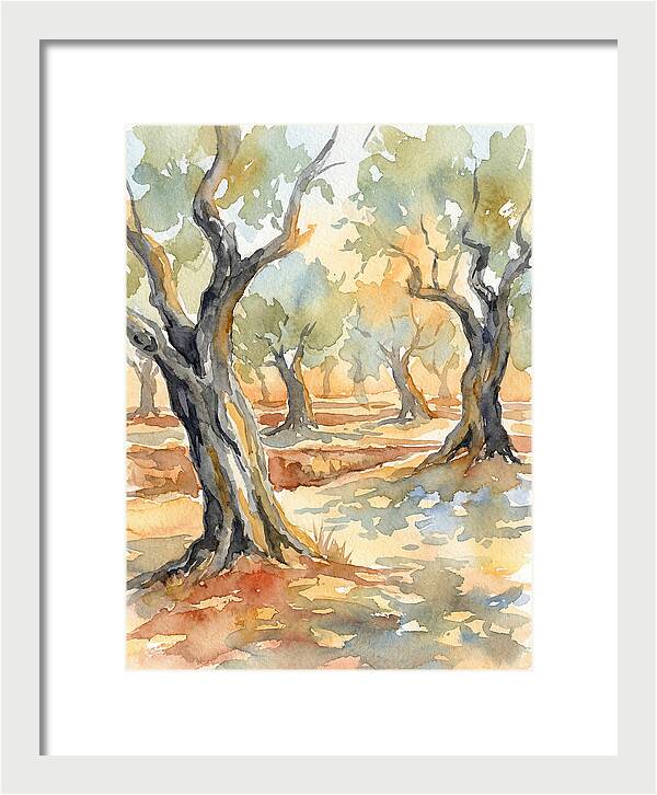 Tranquil Olive Grove