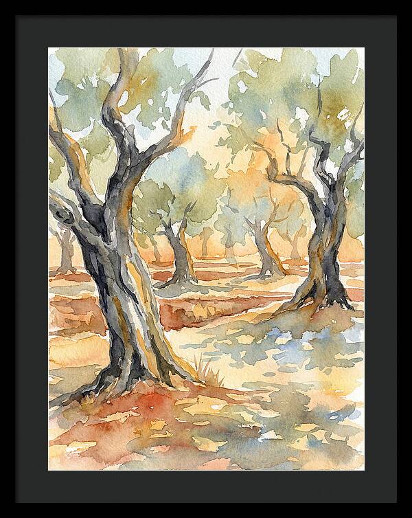 Tranquil Olive Grove