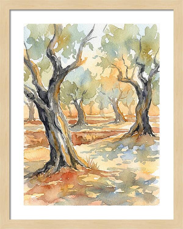 Tranquil Olive Grove