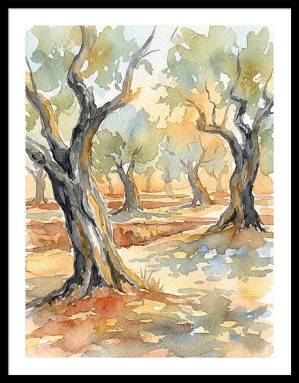 Tranquil Olive Grove
