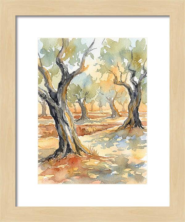 Tranquil Olive Grove