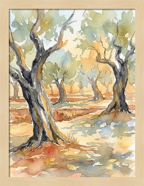 Tranquil Olive Grove