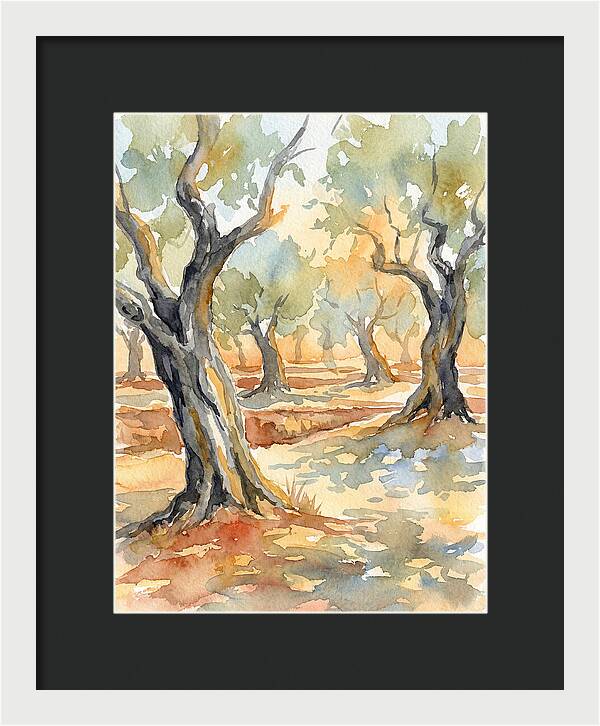 Tranquil Olive Grove