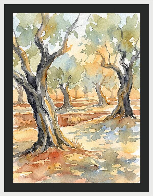 Tranquil Olive Grove