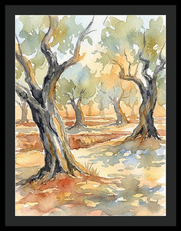 Tranquil Olive Grove
