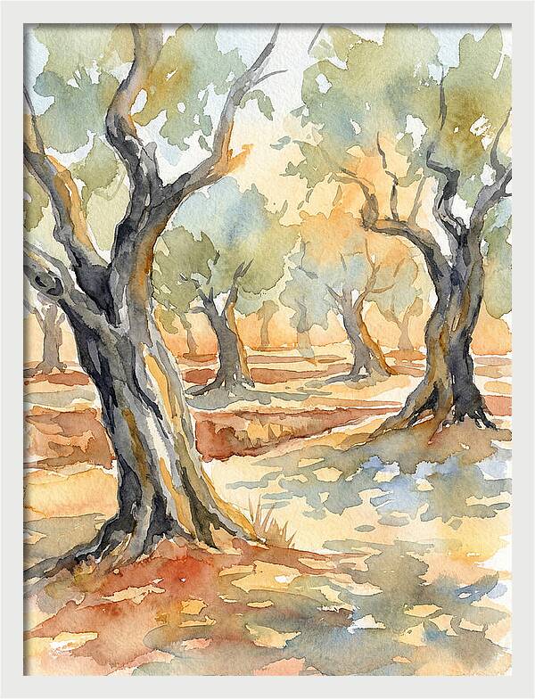 Tranquil Olive Grove