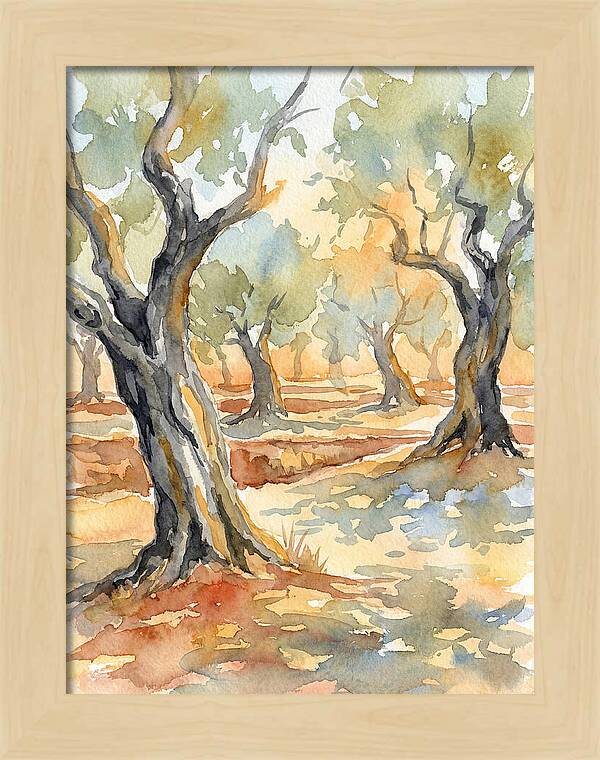 Tranquil Olive Grove