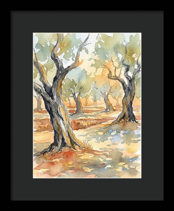 Tranquil Olive Grove