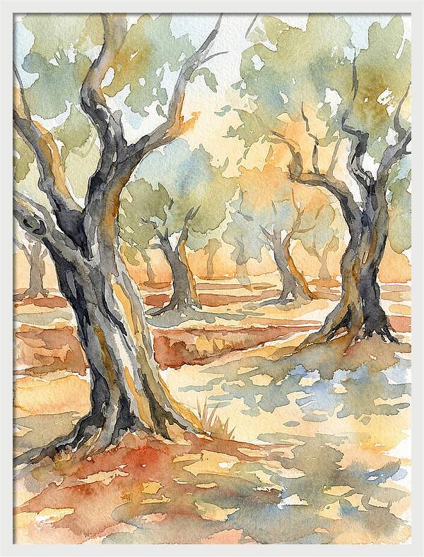Tranquil Olive Grove