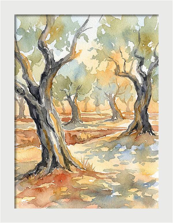 Tranquil Olive Grove