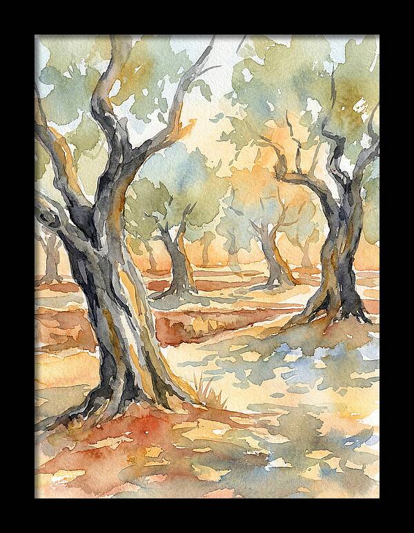 Tranquil Olive Grove