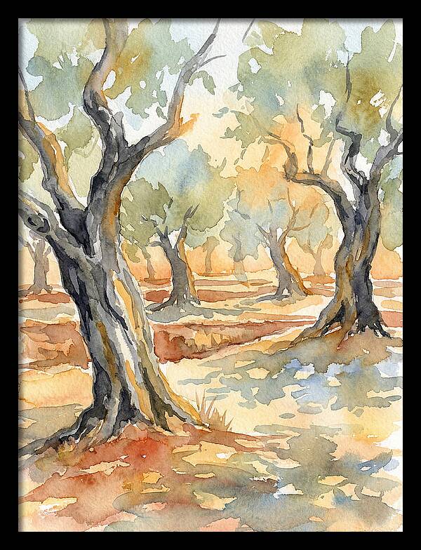Tranquil Olive Grove